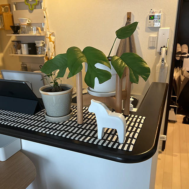 cccさんの実例写真