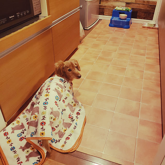 sumireさんの実例写真