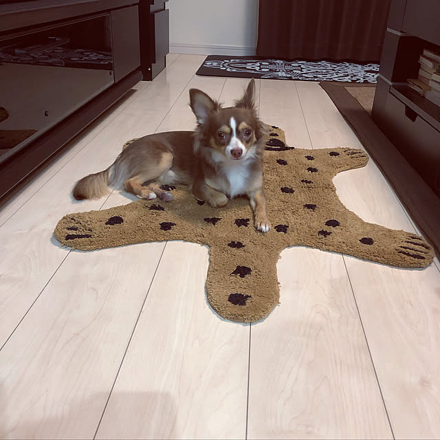 chocoさんの実例写真