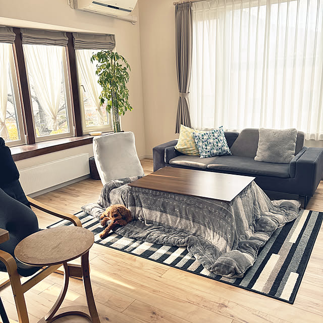 aaaさんの実例写真