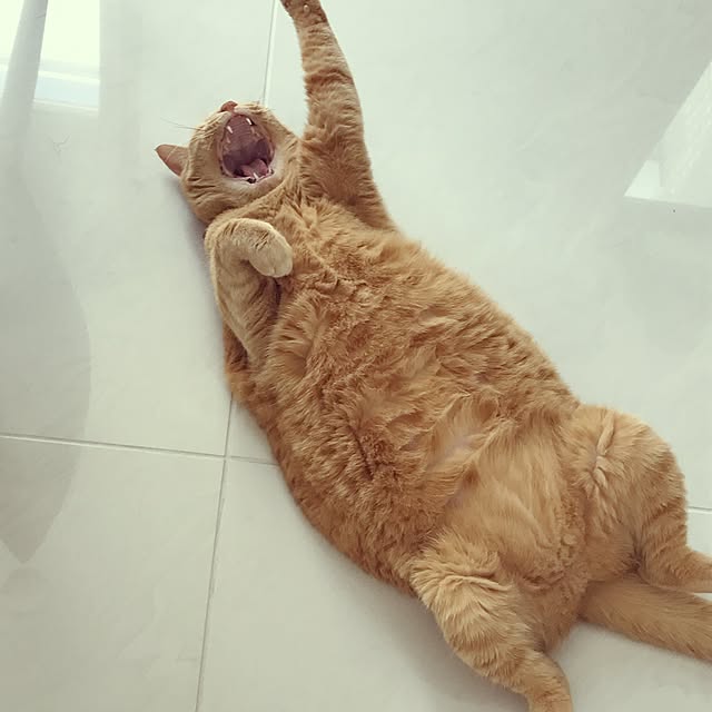 minakoさんの実例写真