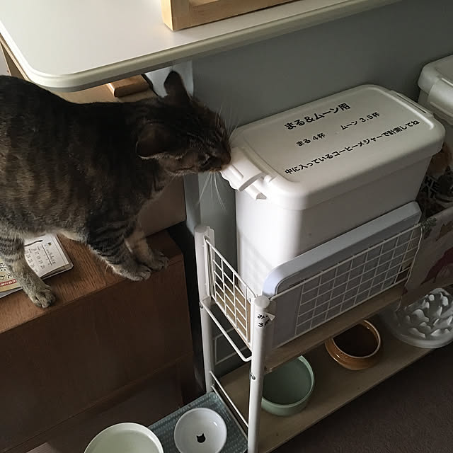 mikomaruさんの実例写真