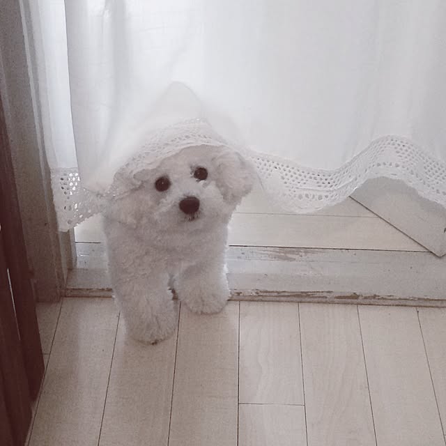 happy_bridgeさんの実例写真