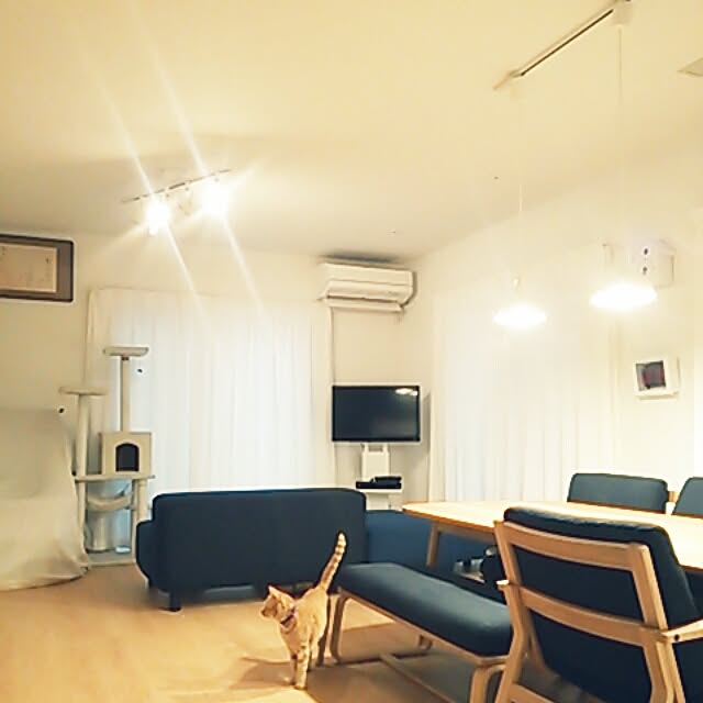 実例写真