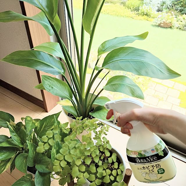 coconathuさんの部屋