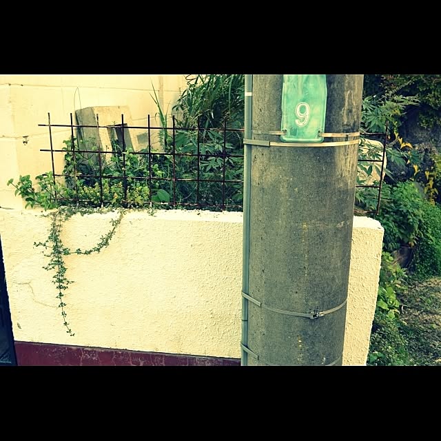 GreenWorksさんの実例写真