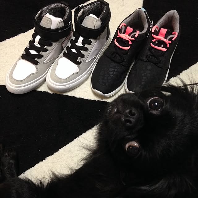 co-hi-yoさんの実例写真