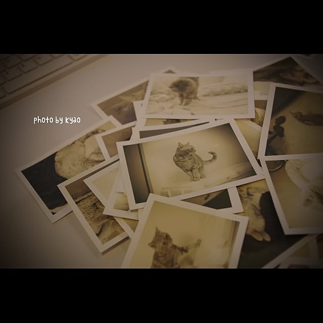 kyaoさんの実例写真