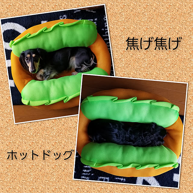 momozouさんの実例写真