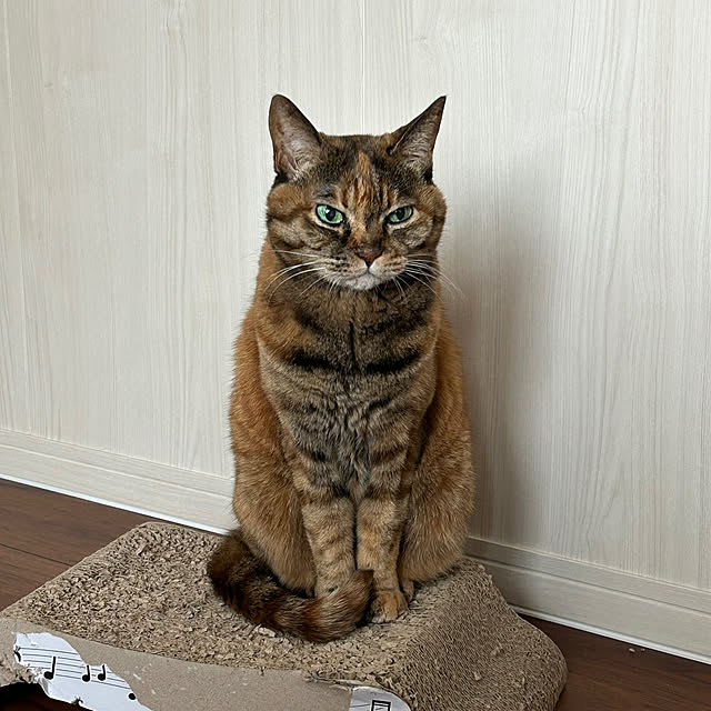 mikeume7さんの部屋