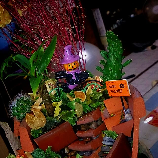 minato.jsoulさんの実例写真