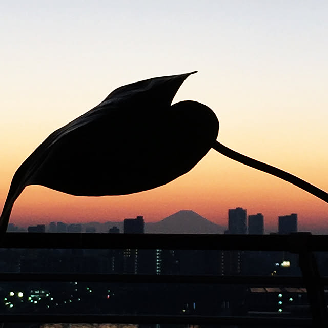 HKSさんの実例写真