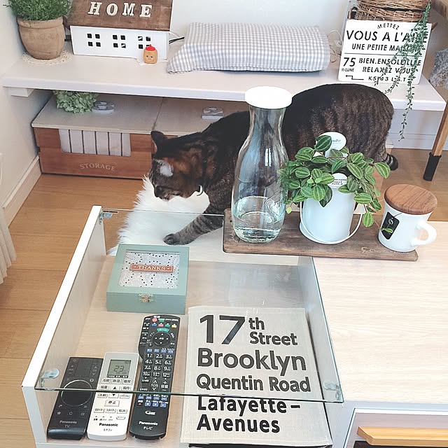 lovecatさんの実例写真
