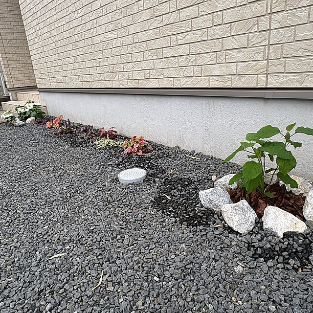 Haruさんの部屋