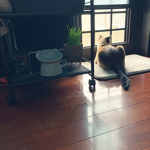 shi622さんの実例写真