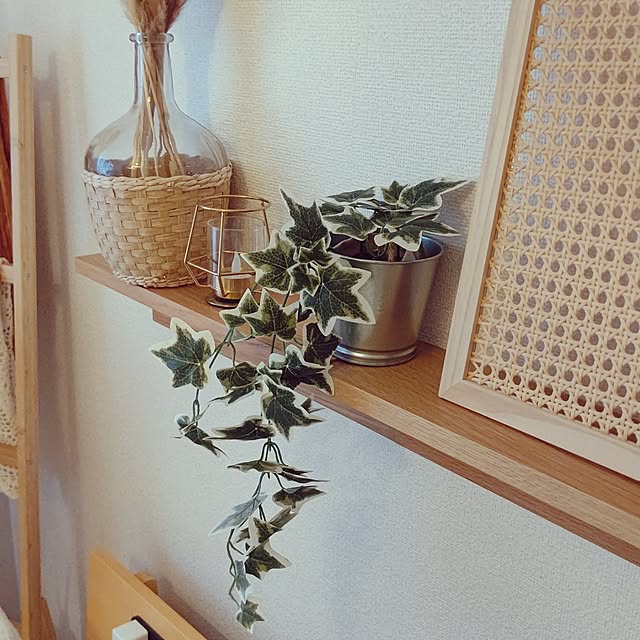 megunyさんの部屋