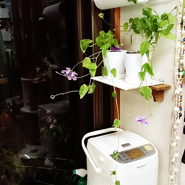 mily.yさんの実例写真