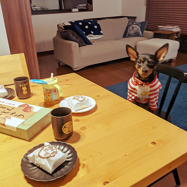 shizuponさんの実例写真