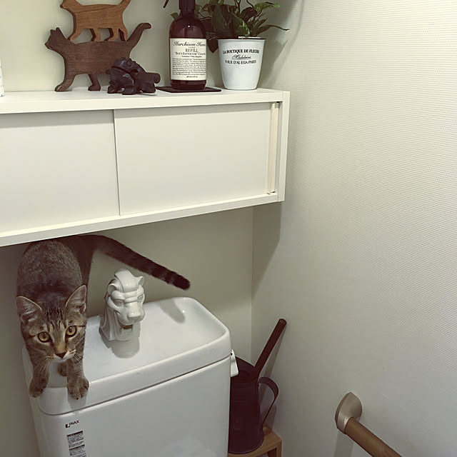 mikomaruさんの実例写真