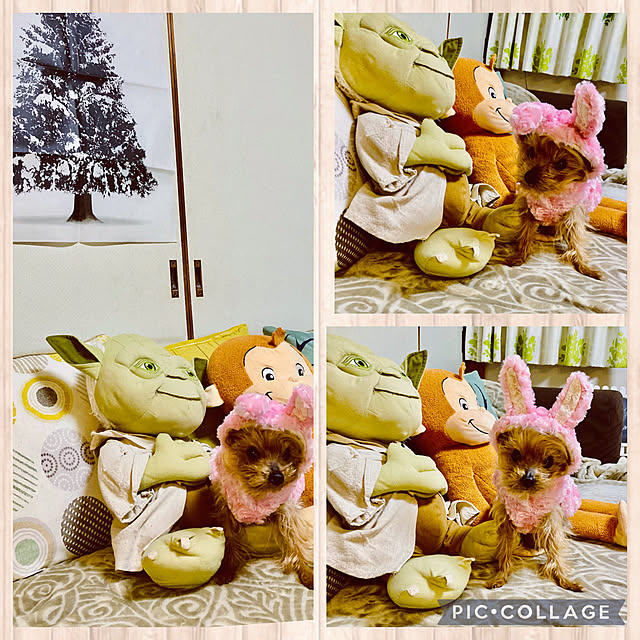 CoCo0617さんの実例写真