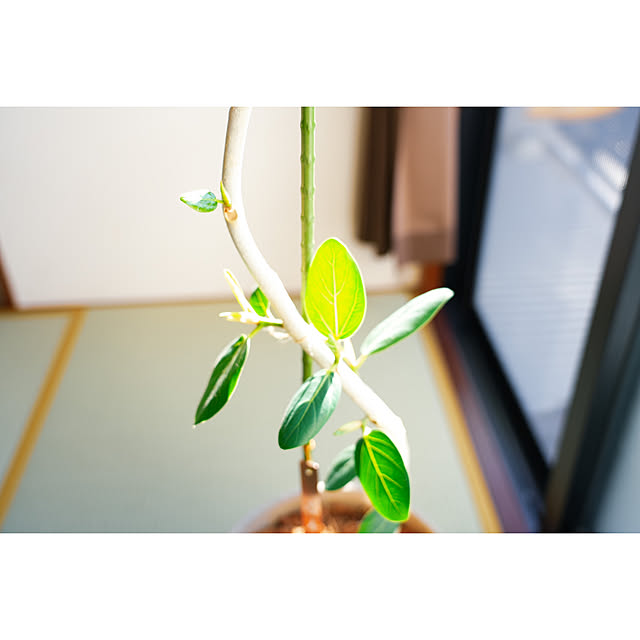 TESHO_FILMさんの実例写真