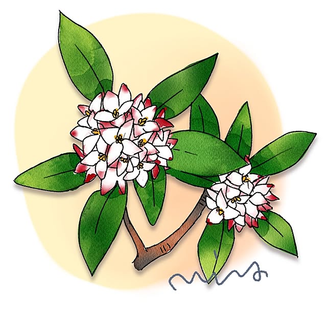 mi-saさんの部屋