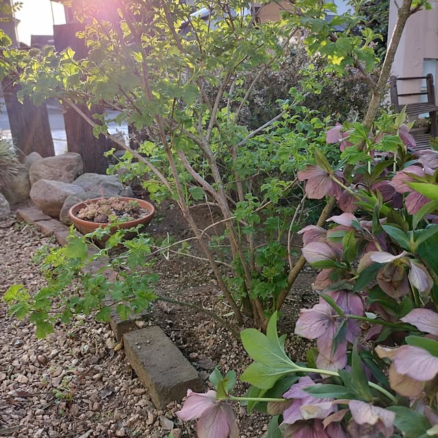 feuileさんの部屋