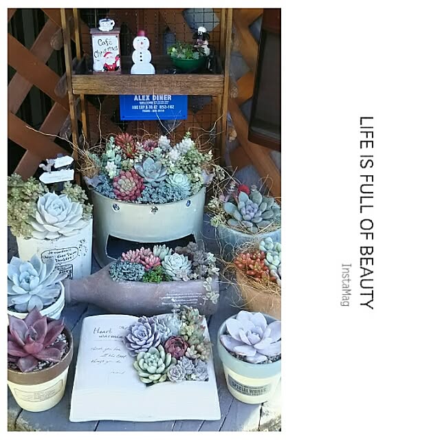 LittleMyさんの実例写真
