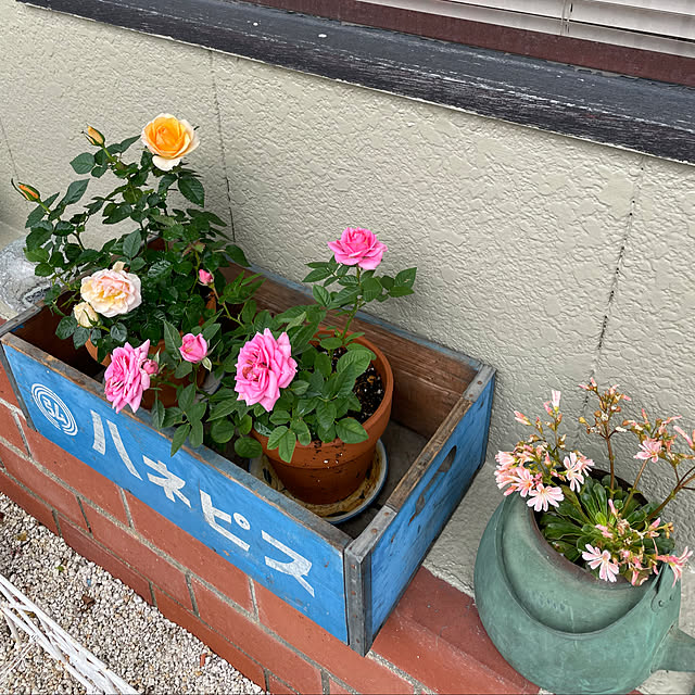 shin0719さんの実例写真