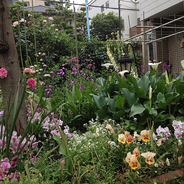 botanさんの部屋