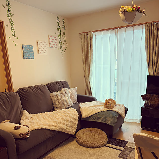 chiiさんの実例写真