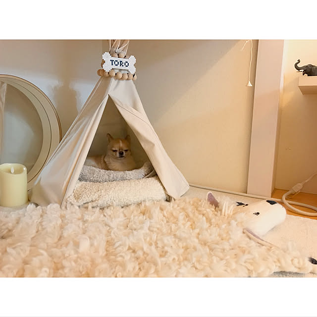 haruhinaさんの実例写真
