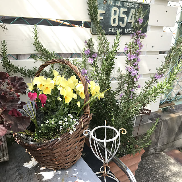 tanomamaさんの実例写真