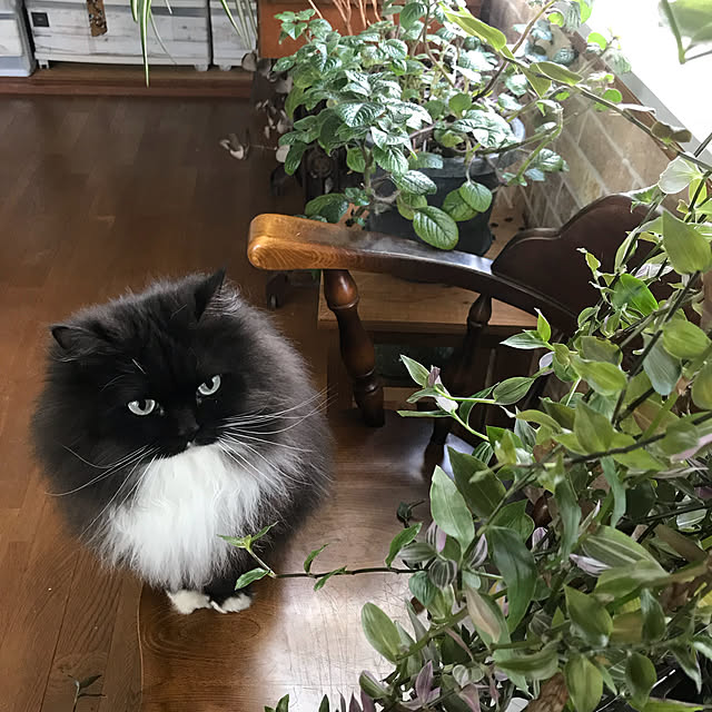 mucc08さんの実例写真