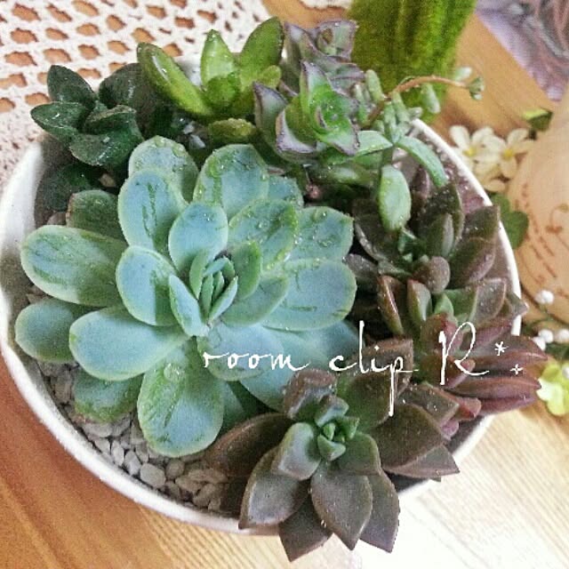 Rさんの実例写真