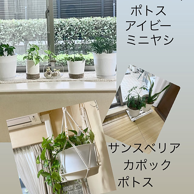 YuuKoさんの実例写真