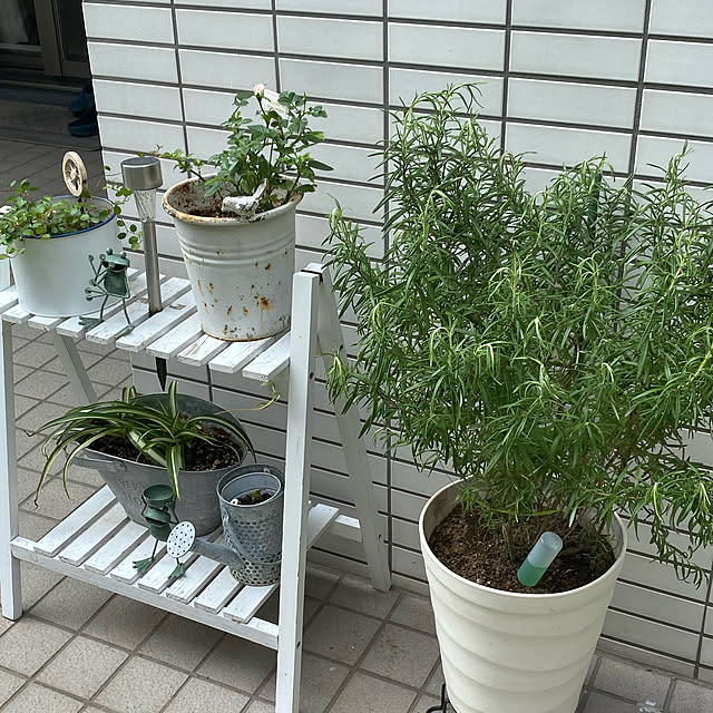 YuuKoさんの実例写真