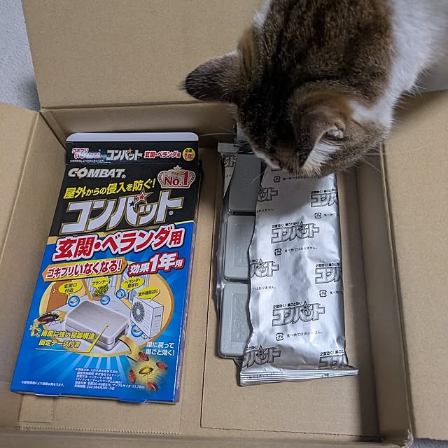 mori_6_12さんの実例写真