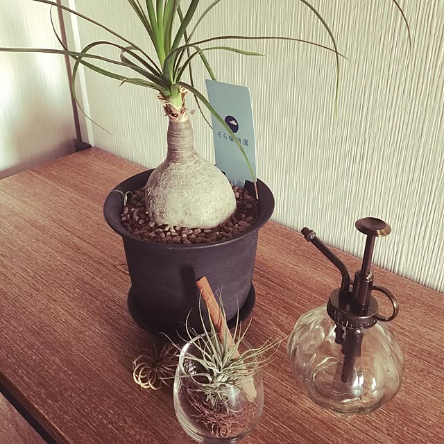 bow_ki_woodさんの実例写真