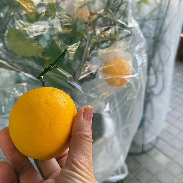 Aqettyさんの実例写真