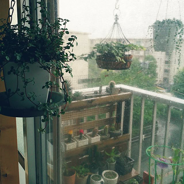 miporin0711さんの実例写真