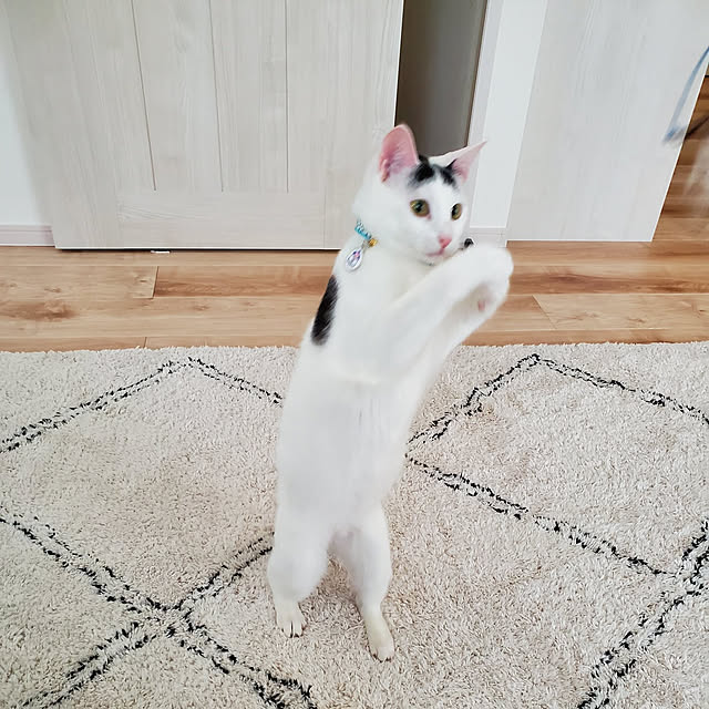 Rinさんの実例写真