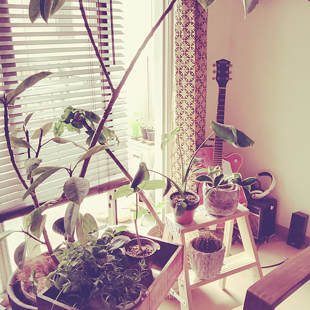 Kiyoさんの実例写真