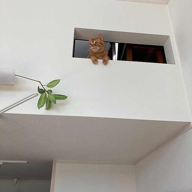 Hisashiさんの実例写真