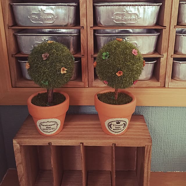 Sakikoさんの実例写真