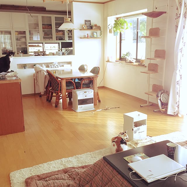 Kinanさんの実例写真
