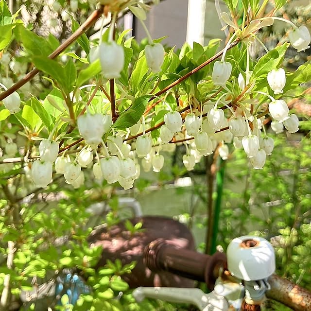 min_nimさんの実例写真