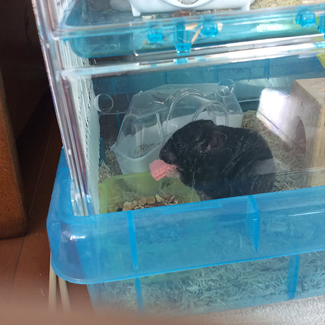 hiroさんの実例写真
