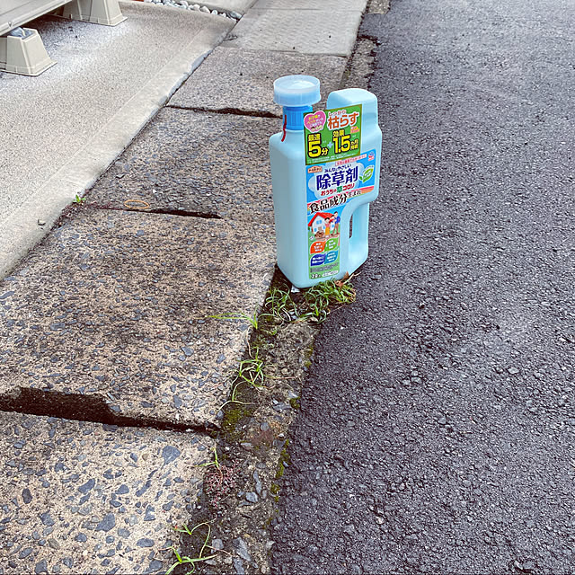 Erenaさんの実例写真