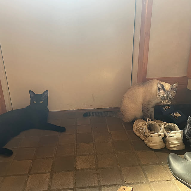 3ho5さんの部屋